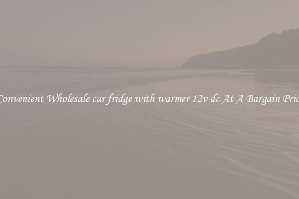 Convenient Wholesale car fridge with warmer 12v dc At A Bargain Price