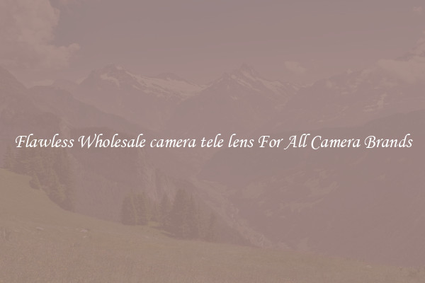 Flawless Wholesale camera tele lens For All Camera Brands