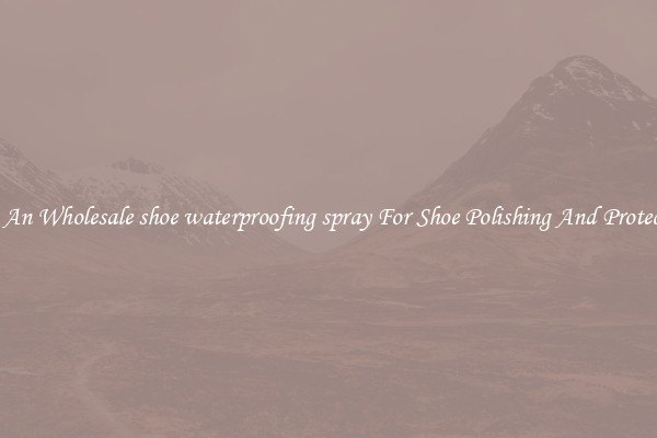 Buy An Wholesale shoe waterproofing spray For Shoe Polishing And Protection
