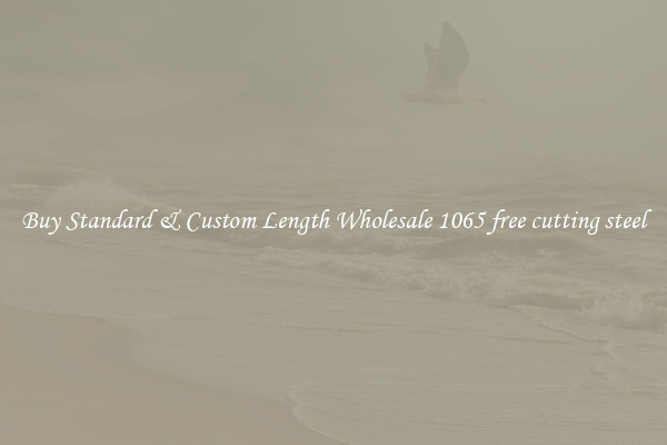 Buy Standard & Custom Length Wholesale 1065 free cutting steel