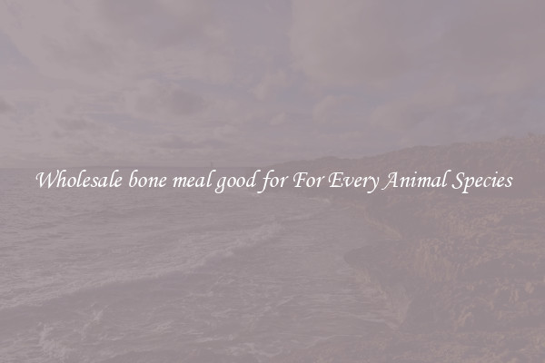 Wholesale bone meal good for For Every Animal Species