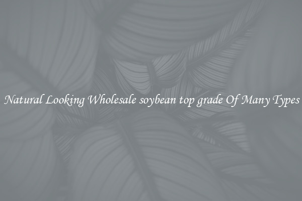 Natural Looking Wholesale soybean top grade Of Many Types