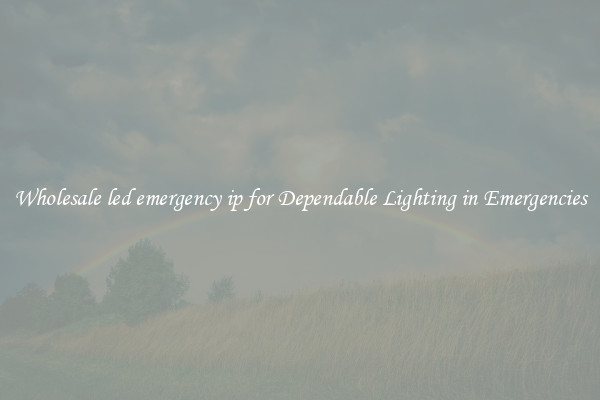 Wholesale led emergency ip for Dependable Lighting in Emergencies