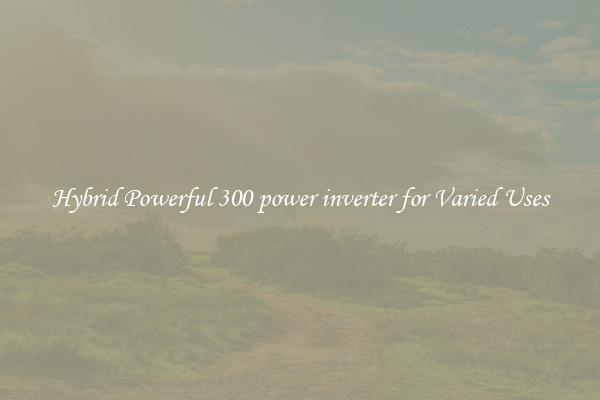 Hybrid Powerful 300 power inverter for Varied Uses