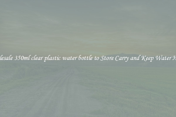 Wholesale 350ml clear plastic water bottle to Store Carry and Keep Water Handy