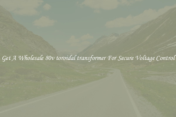 Get A Wholesale 80v toroidal transformer For Secure Voltage Control