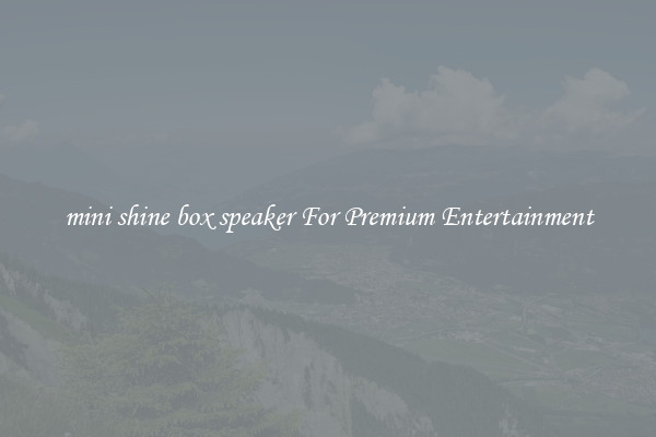 mini shine box speaker For Premium Entertainment