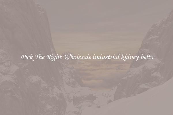 Pick The Right Wholesale industrial kidney belts