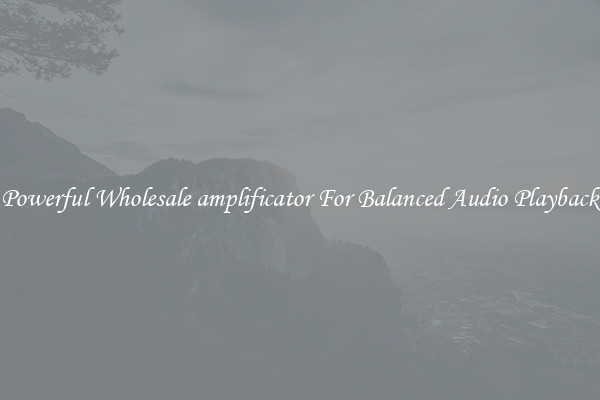 Powerful Wholesale amplificator For Balanced Audio Playback