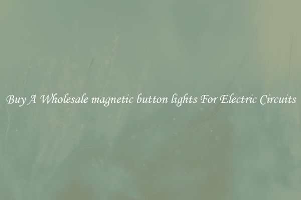 Buy A Wholesale magnetic button lights For Electric Circuits
