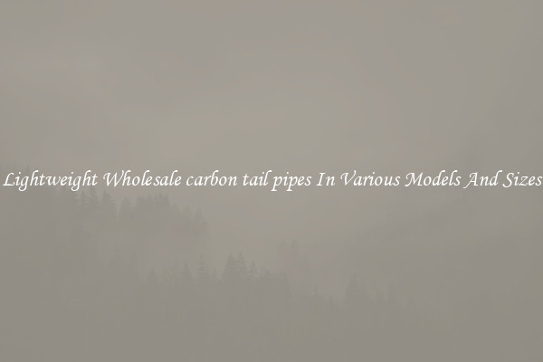 Lightweight Wholesale carbon tail pipes In Various Models And Sizes
