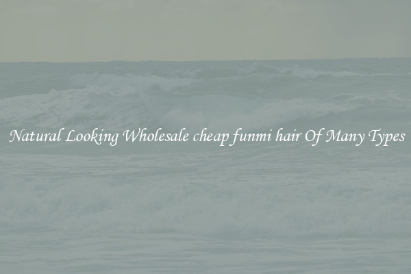 Natural Looking Wholesale cheap funmi hair Of Many Types