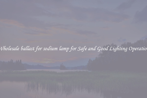 Wholesale ballast for sodium lamp for Safe and Good Lighting Operation
